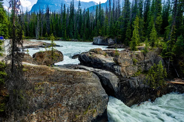 Natural Bridge Kicking Horse River Yoho National Park British Columbia — Stockfoto