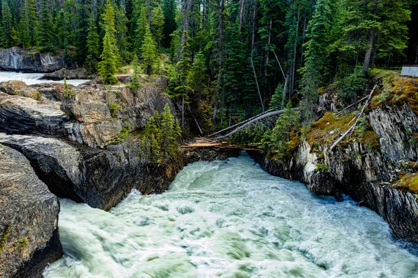 Natural Bridge Kicking Horse River Yoho National Park British Columbia — 图库照片
