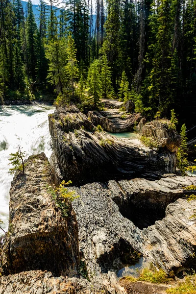 Natural Bridge Kicking Horse River Yoho National Park British Columbia — Fotografia de Stock