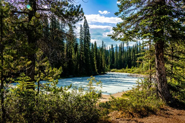 Thundering Yoho River Yoho National Park British Columbia Canada — Photo