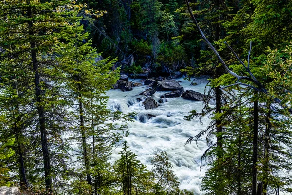 Thundering Yoho River Yoho National Park British Columbia Canada — Photo