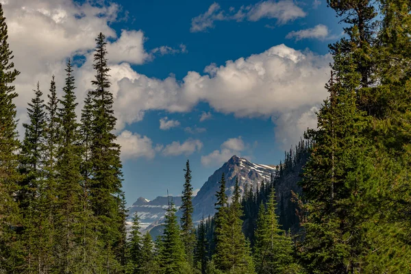 Pemandangan Dari Yoho Valley Road Taman Nasional Yoho British Columbia — Stok Foto