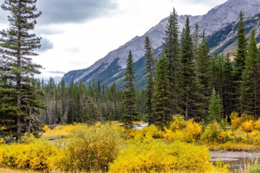 Kananaskis River flows at the bottom of Fortress Mountain. Spray Valley Provincial Park, Alberta, Canada