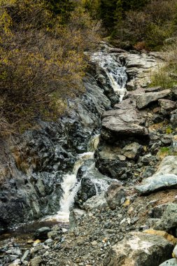 Yol kenarından manzaralı. Gros Morne Ulusal Parkı, Newfoundland, Kanada