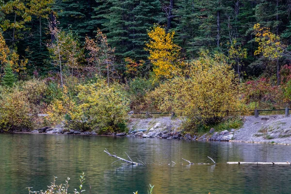Fall Colours Reflect Mount Lorette Ponds Bow Valley Wilderness Area —  Fotos de Stock