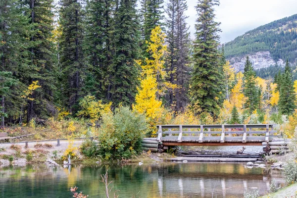 Wooden Bridge Mount Lorette Ponds Fall Bow Valley Wilderness Area — Stockfoto