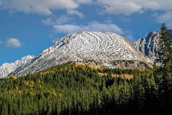 Views Roadside Mountain Drive Park Peter Lougheed Provincial Park — Stock Photo, Image