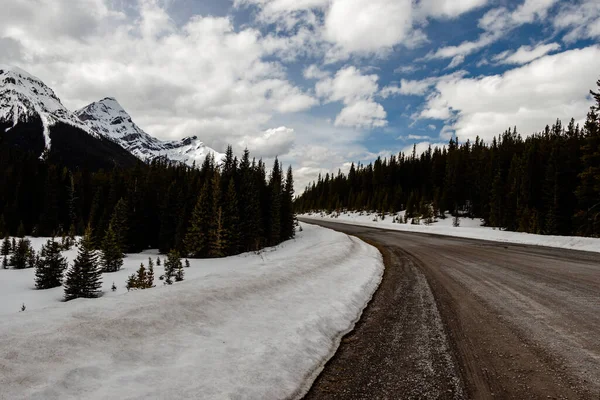 山边的景色 Peter Lougheed省公园 加拿大艾伯塔省 — 图库照片