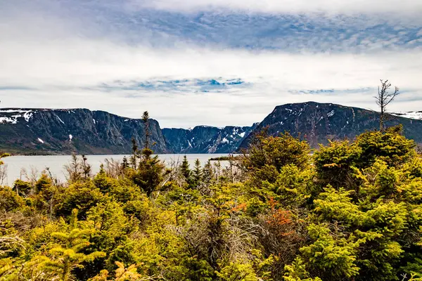 滝の周りのトレイル グロス モーン国立公園 ニューファンドランド カナダ — ストック写真