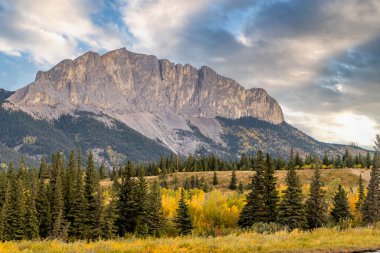 Fall colours along Bow River under Mount Yamunska. Bow Valley Provincial Park, Alberta, Canada