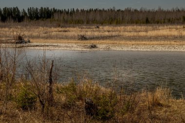 Kızıl Geyik nehrinden gelen kanallar bir bahar sabahı parktan geçti. Markerville NA, Red Deer County, Alberta, Kanada