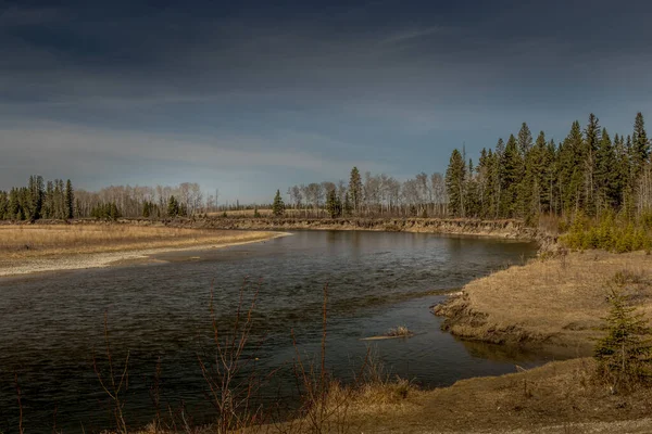 Channels Red Deer River Cut Park Early Spring Morning Markerville — Stock Photo, Image