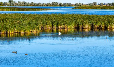 A drive around Kinnbrook Provincial Park Alberta Canada