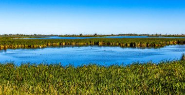 A drive around Kinnbrook Provincial Park Alberta Canada