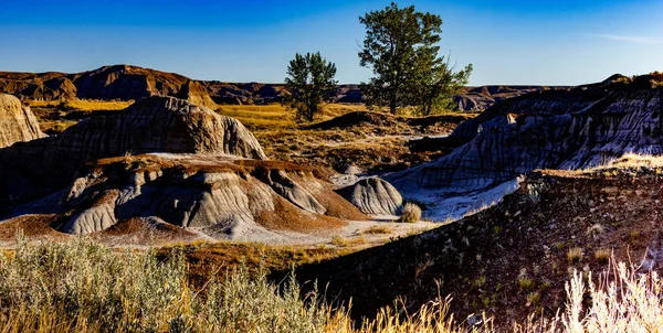 Drive Dinosaur Provincial Park Alberta Canada — Stockfoto