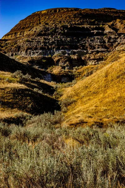 Drive Dinosaur Provincial Park Alberta Canada — Photo