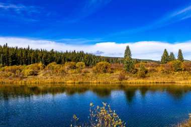 Sonbahar renkleri Elk Creek Balık Havuzu İl Rekreasyon Bölgesi Clearwater County Alberta Kanada