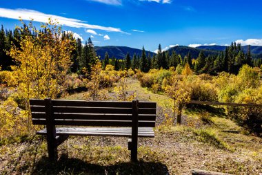 Sonbahar renkleri Elk Creek İl Rekreasyon Bölgesi Clearwater County Alberta Kanada