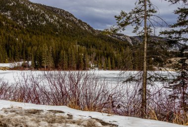 Gölet hala donmuş durumda, Grotto Pond İl Dinlenme Alanı, Alberta, Kanada