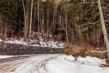 Kar hala etrafta dolanıyor, Heart Creek Trail İl Rekreasyon Bölgesi, Alberta, Kanada