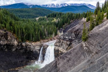 Ram Şelalesi ve Ram Nehri 'nin farklı manzaraları. Ram Falls İl Parkı. Alberta, Kanada