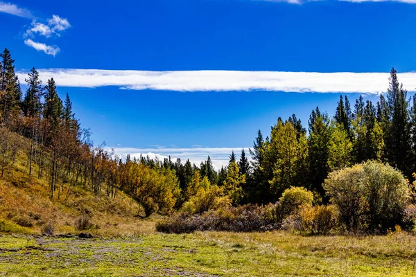 Осенние Цвета Elk Creek Provincial Recreation Area Clearwater County Alberta — стоковое фото