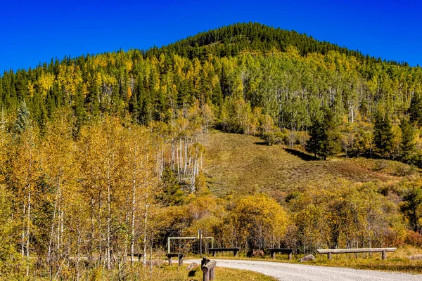 Podzimní Barvy Elk Creek Provinční Rekreační Oblast Clearwater County Alberta — Stock fotografie