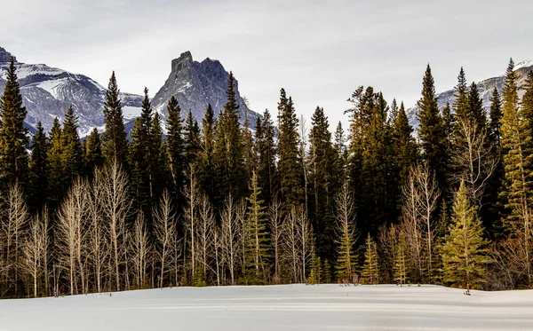 Mount Lougheed Mount Lougheed Provincial Recreation Area Alberta Canada — Stock Photo, Image