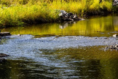 Sonbahar renkleri Tay Nehri İl Rekreasyon Bölgesi Alberta Kanada