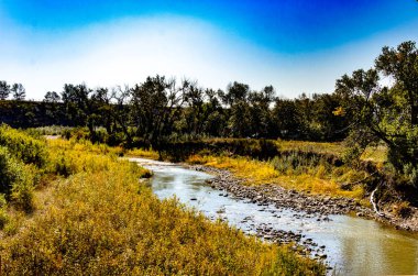 Willow Creek İl Rekreasyon Bölgesi MD 'si çevresindeki sahneler Willow Creek Alberta Kanada