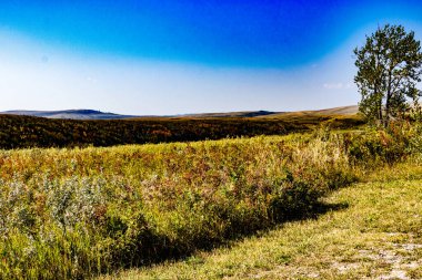 Willow Creek İl Rekreasyon Bölgesi MD 'si çevresindeki sahneler Willow Creek Alberta Kanada