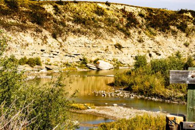 Willow Creek İl Rekreasyon Bölgesi MD 'si çevresindeki sahneler Willow Creek Alberta Kanada