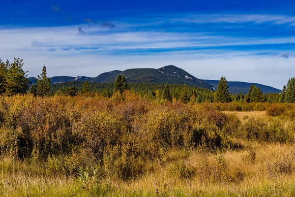 Осенние Цвета Seven Mile Provincial Recreation Area Clearwater County Alberta — стоковое фото