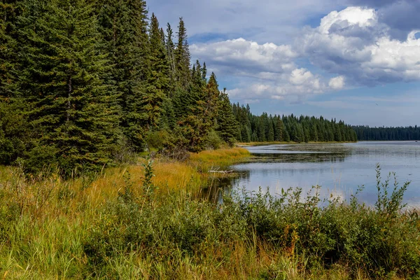 Uitzicht Rond Het Zwanenmeer Provinciaal Recreatiegebied Alberta Canada — Stockfoto