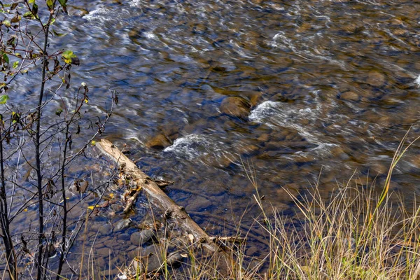 Cores Queda Rio Tay Provincial Área Recreação Alberta Canada — Fotografia de Stock