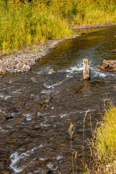Herbst Farben Tay River Provinz Erholungsgebiet Alberta Kanada — Stockfoto