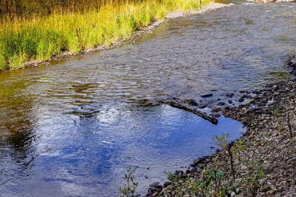 Podzimní Barvy Tay River Provincial Rekreační Oblast Alberta Kanada — Stock fotografie