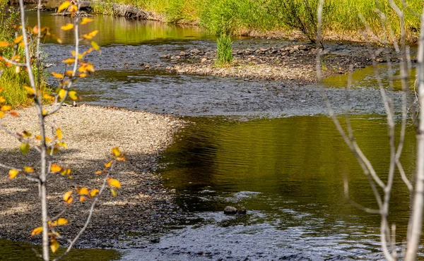 Herbst Farben Tay River Provinz Erholungsgebiet Alberta Kanada — Stockfoto