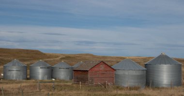 Cardston County Alberta Canada 'da sonbahar renkleri