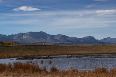 Cardston County Alberta Canada 'da sonbahar renkleri