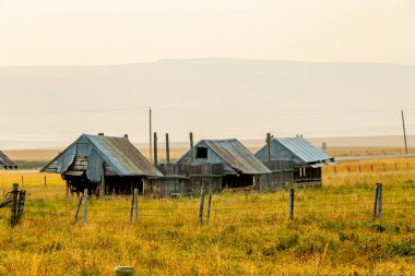 Kırsal çiftlik binaları. Foothills County, Alberta, Kanada