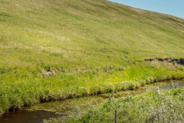 Bulutlu gökyüzünün altında yeşil çimlerle tarlalar Allingham Alberta Kanada
