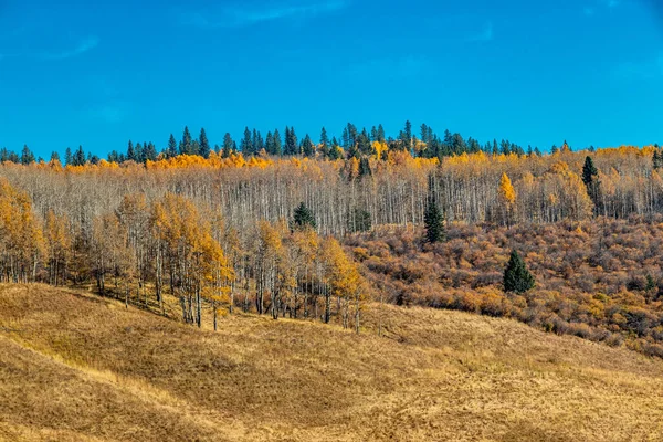 Colores Otoño Valle Ghost Land Use Área Alberta Canadá —  Fotos de Stock