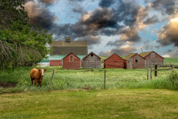 Bâtiments Stocks Rustiques Huxley Alberta Canada — Photo