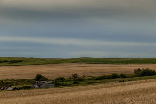 Mix Farm Lands Bad Lands Kneehill County Alberta Canada — Stock Photo, Image