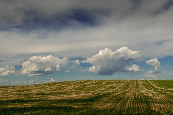Mieszanka Gruntów Rolnych Złych Ziem Hrabstwo Kneehill Alberta Kanada — Zdjęcie stockowe