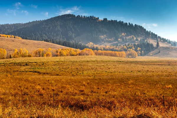 Podzimní Barvy Polích Big Horn Alberta Kanada — Stock fotografie