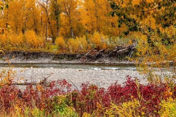 Fall Colours Town Turner Valley Foothills County Alberta Canada — Stock Photo, Image
