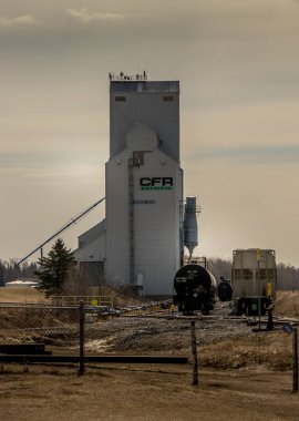 Ovaların görkemli ahşap devleri. Bazıları hala çok eski bir çağın simgesi olarak duruyor..