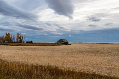 Kırsal çiftlik binaları hala ayakta ve bazıları bölgenin tarihini göstermekten vazgeçti. Mountainview County, Alberta, Kanada